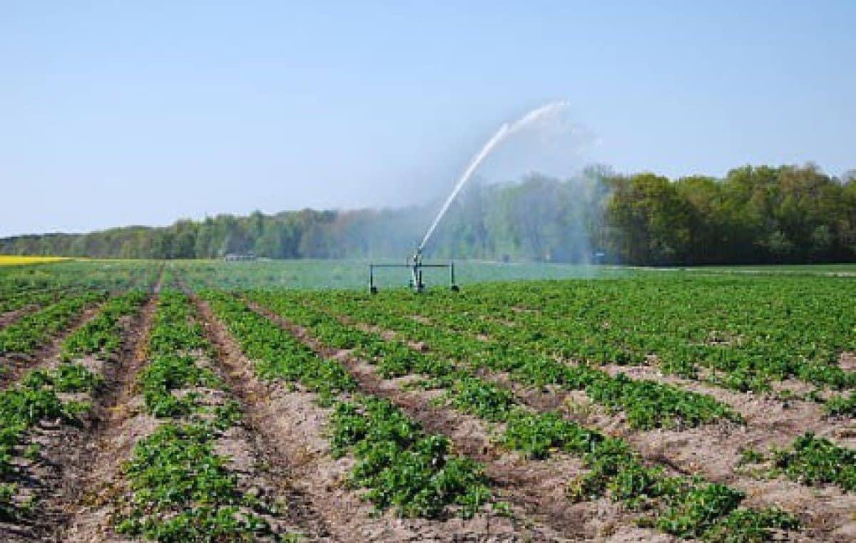 118 миллионов кубометров поливной воды подали аграриям ЗКО